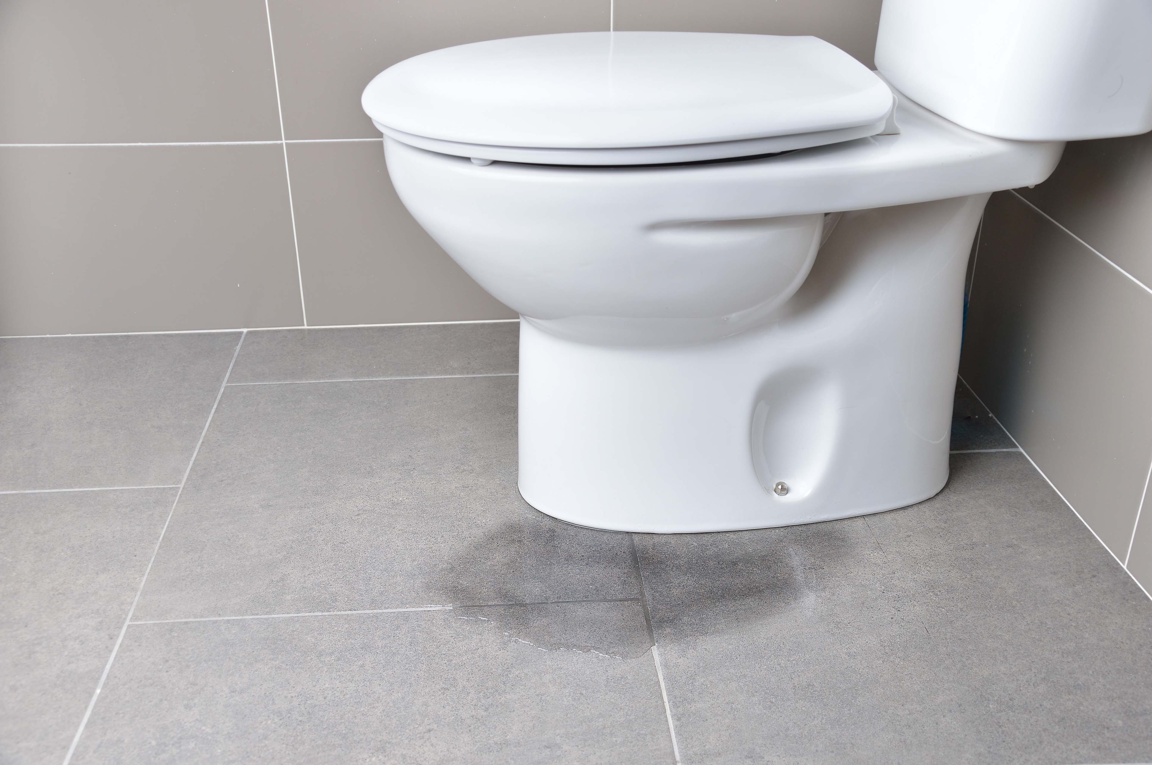 How to Detect and Fix Silent Leaks in Your Home toliet, waterleak